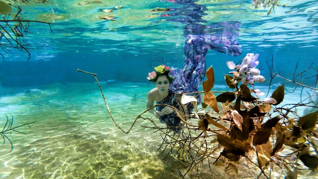 best day trips from tampa