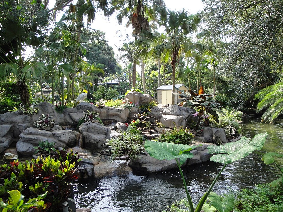A landscaped tropical garden and pond at Busch Gardens Tampa