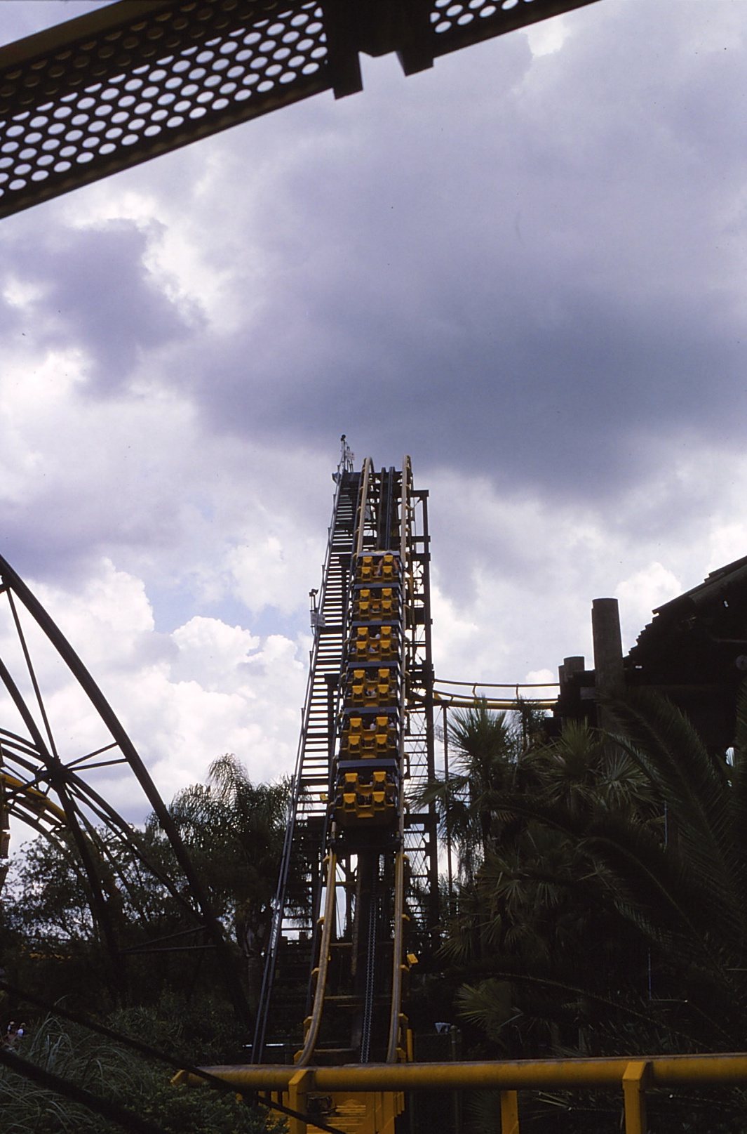 Roller coaster and African-themed habitat at Busch Gardens Tampa Bay